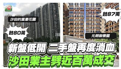 新盤低開 二手盤再度淌血 沙田業主劈近百萬成交