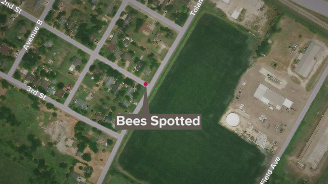 Taft intersection effectively closed Tuesday night after large swarm of bees spotted in the area