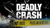 Southern Minnesota man killed in early Sunday collision