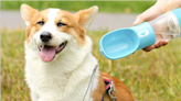 This Amazon shopper-approved dog water bottle is on sale for $16: 'Buy this!'