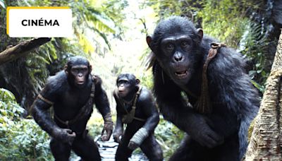 La Planète des singes 2024 : incarner un primate, un défi "extrêmement physique" pour les acteurs du Nouveau Royaume