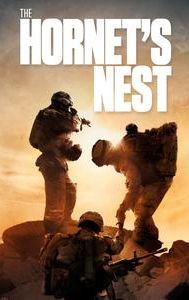 The Hornet's Nest