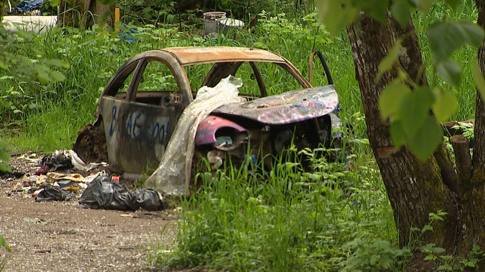 'Softball size rocks' thrown at firefighters battling flames at homeless camp: documents