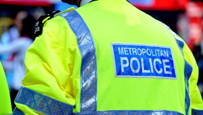 Murder probe after stabbing in London park