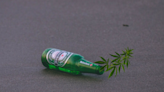 Video: Why Heineken Beer Smells Like Weed And Other Truths About Terpenes