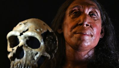 Increíble: revelan el rostro de una mujer Neandertal de 75,000 años