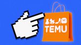 Shoppers are flocking to Temu for cheap deals — but will the novelty last?