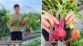 Home gardener urges fellow growers to seed this one plant for an easy addition the garden — and the palate