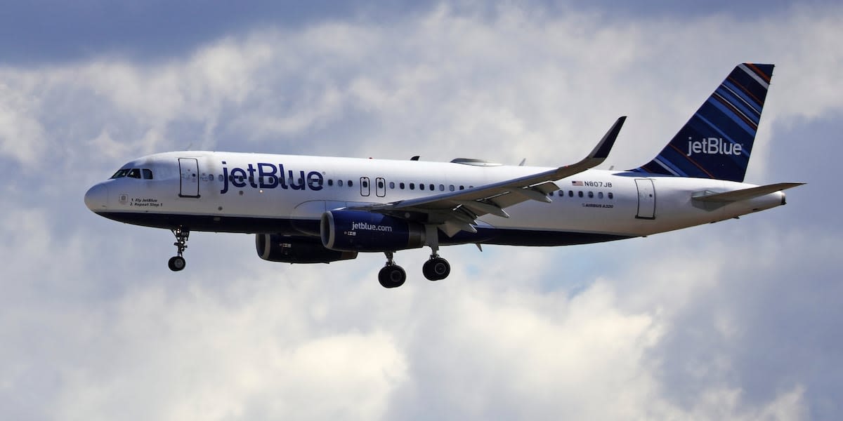 Woman says her cancer returned after JetBlue refused to let her fly with emotional support dog