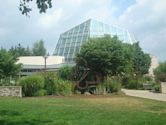 Niagara Parks Butterfly Conservatory