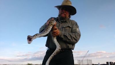 Florida’s Python Challenge is just wrangling snakes for some. But for military vets, it’s a chance to heal