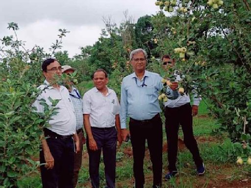 Ranchi researchers’ apple experiment bears fruit: Subtropical climate no constraint