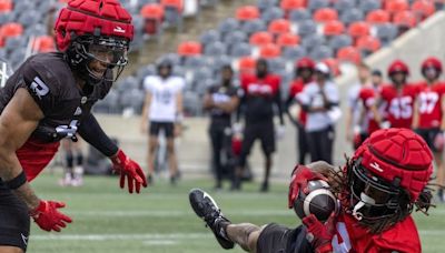 AT LONG LAST: Speed demon Kalil Pimpleton to make much-anticipated CFL debut for Redblacks