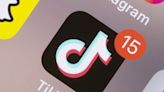 TikTok ban: App sues Montana over new law to block users