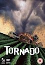 Nature Unleashed: Tornado