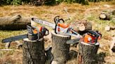 The 18 Best Electric Chainsaws in 2024