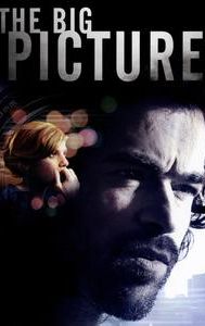 The Big Picture (2010 film)