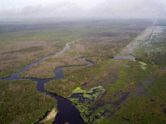 Restoration of the Everglades