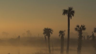 Plume Of Dust From The Sahara Desert To Bring 'Dirty Rain' To Florida | iHeart