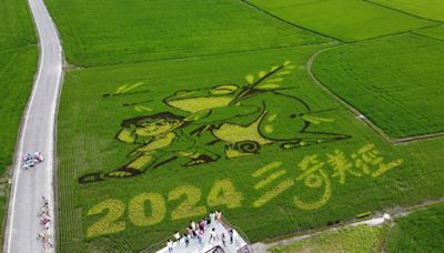 冬山三奇美徑最新彩稻田來了 還有熱氣球嘉年華、風箏節別錯過