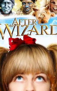 After the Wizard