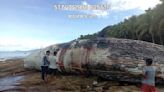 Dead sperm whale washes up on Davao Occidental shore | Coconuts