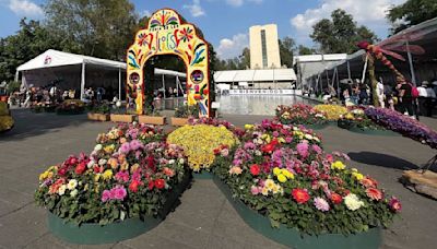 Feria de las Flores de San Ángel 2024 tendrá venta de plantas, concursos y más: ¿cuándo y dónde?