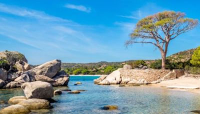 France’s best beach is an island paradise with ‘beautiful clear water’