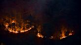 New groundbreaking study upends traditional thinking on major factor governing massive wildfires: 'Long been overlooked'