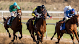 Nebraska has as many Thoroughbred racetracks as Kentucky, the US horse racing capitol