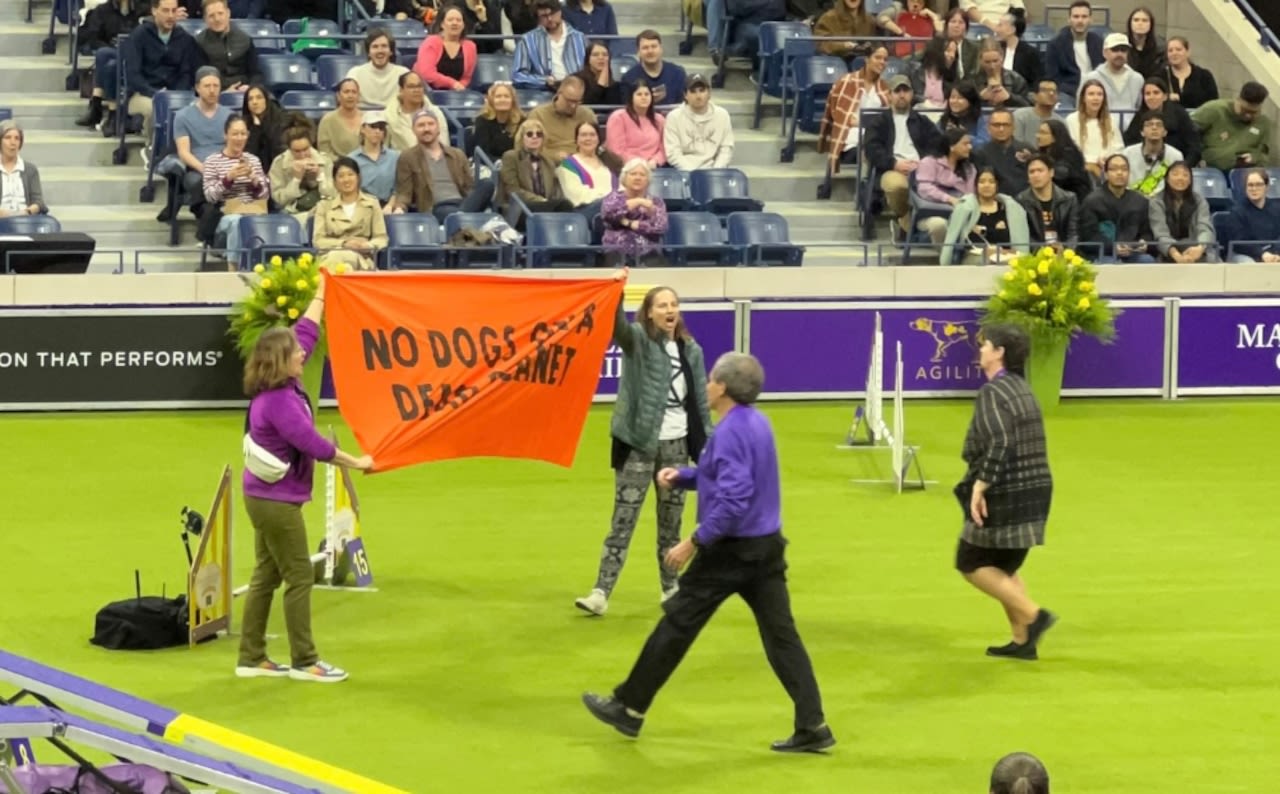 Climate protesters disrupt Westminster dog show agility course. ‘No dogs on a dead planet.’