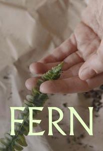 Fern