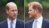 Prince Harry and Prince William touching moments go viral