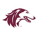 Southern Illinois Salukis