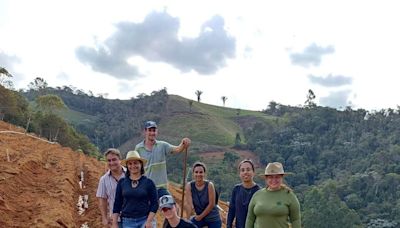 Pesquisadores do Espírito Santo registram primeira cultivar de gengibre do Brasil