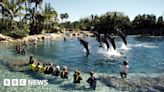 Discovery Cove: Cardiff girl dies on family holiday in Florida