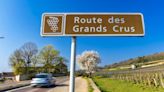 Want to explore France’s wine regions in a cheap, sustainable way? Try carpooling