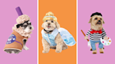 20 popular dog costumes that'll make your pup the cutest this Halloween