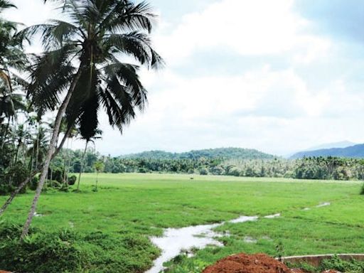 Kerala set to launch new portal to streamline land, revenue and survey services