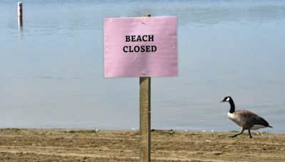 27 Michigan beaches contaminated by high bacteria levels. Here's where they are