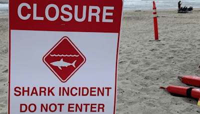 Shark bites swimmer in Del Mar, beaches closed