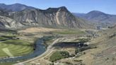 A man kills a grizzly bear in Montana after it attacks while he is picking berries