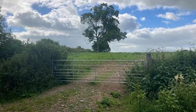 Large new solar farm will be built near Taunton