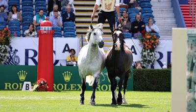 ‘Horses are our lives’: Equine enthusiasts descend on RDS for 149th Dublin Horse Show