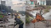 Lluvias en CDMX dejan árboles caídos, inundaciones y al Metro sin servicio