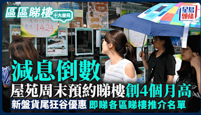 減息倒數 周末預約睇樓創4個月高 新盤貨尾狂谷優惠｜即睇18區睇樓推介名單