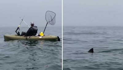 Kayakistas tienen un ‘encuentro cercano’ con un tiburón en Half Moon Bay