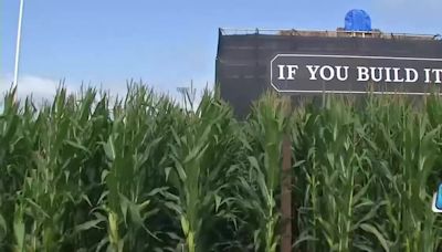 Field of Dreams Movie Site hosts naturalization ceremony