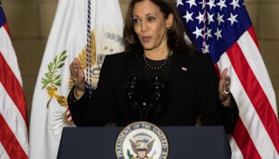 Will Kamala Harris inherit Biden's $240M in campaign donations? Law reveals 'gray area'