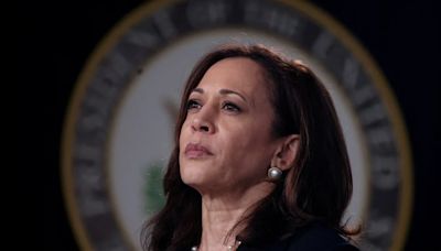 Las 6 alternativas para los demócratas, en caso de que no elijan a Kamala Harris como candidata presidencial